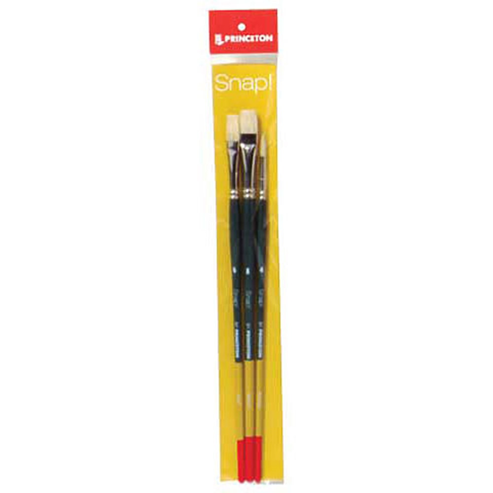 Princeton, Brush Set, Art & School, Snap, Bristle, 402210